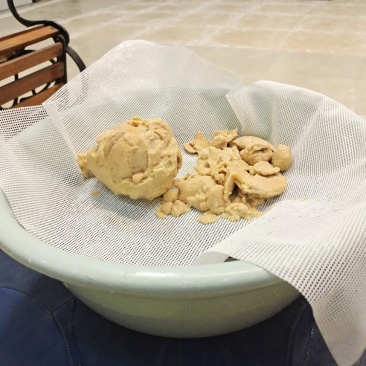 鸡宝