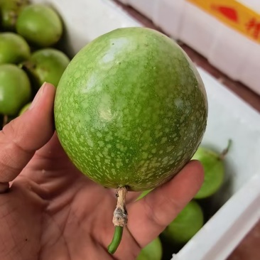 百香果