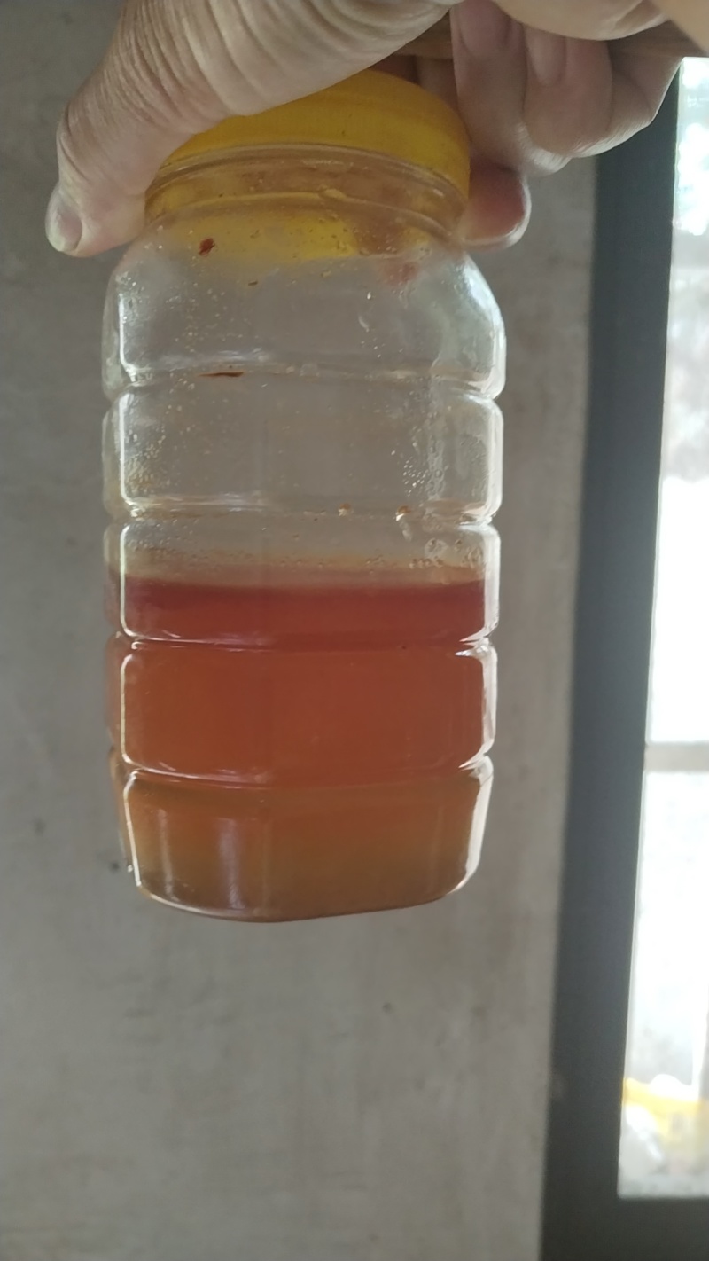大山里的纯蜂蜜