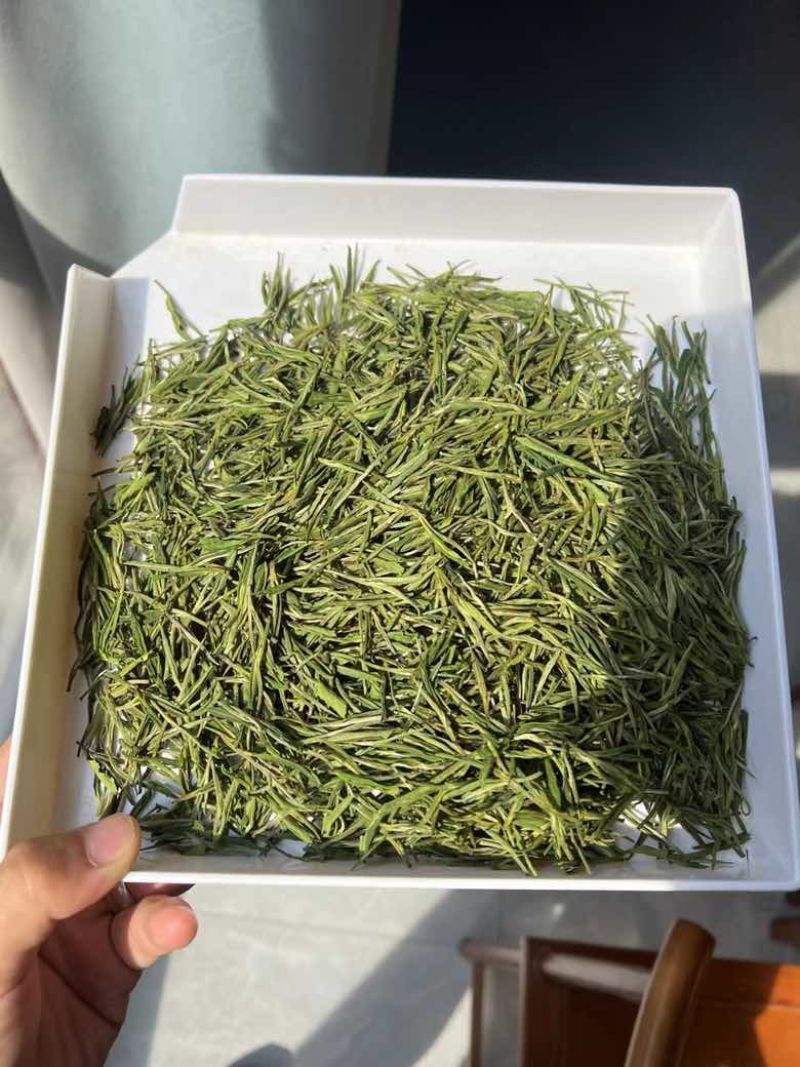 白茶