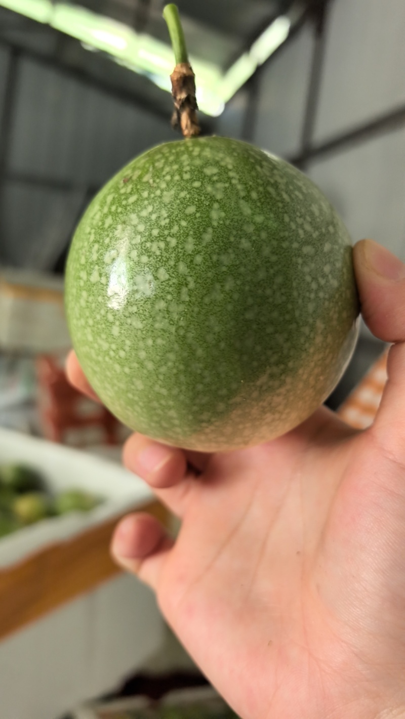 黄金百香果