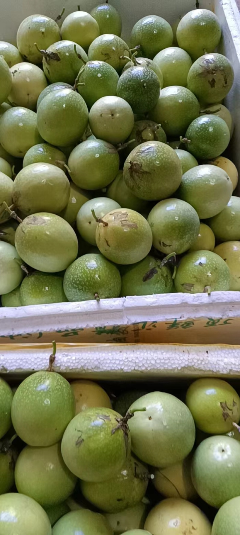 黄金百香果
