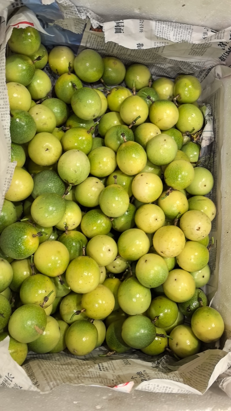 黄金百香果