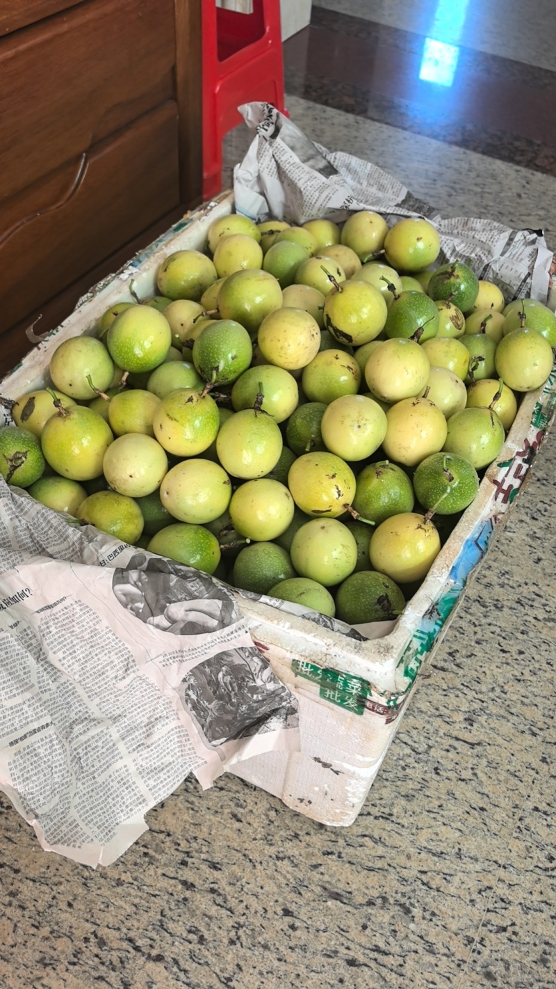 黄金百香果