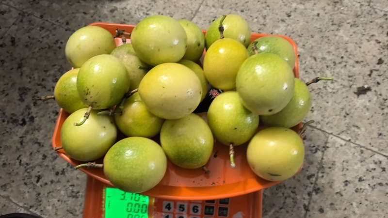 黄金百香果