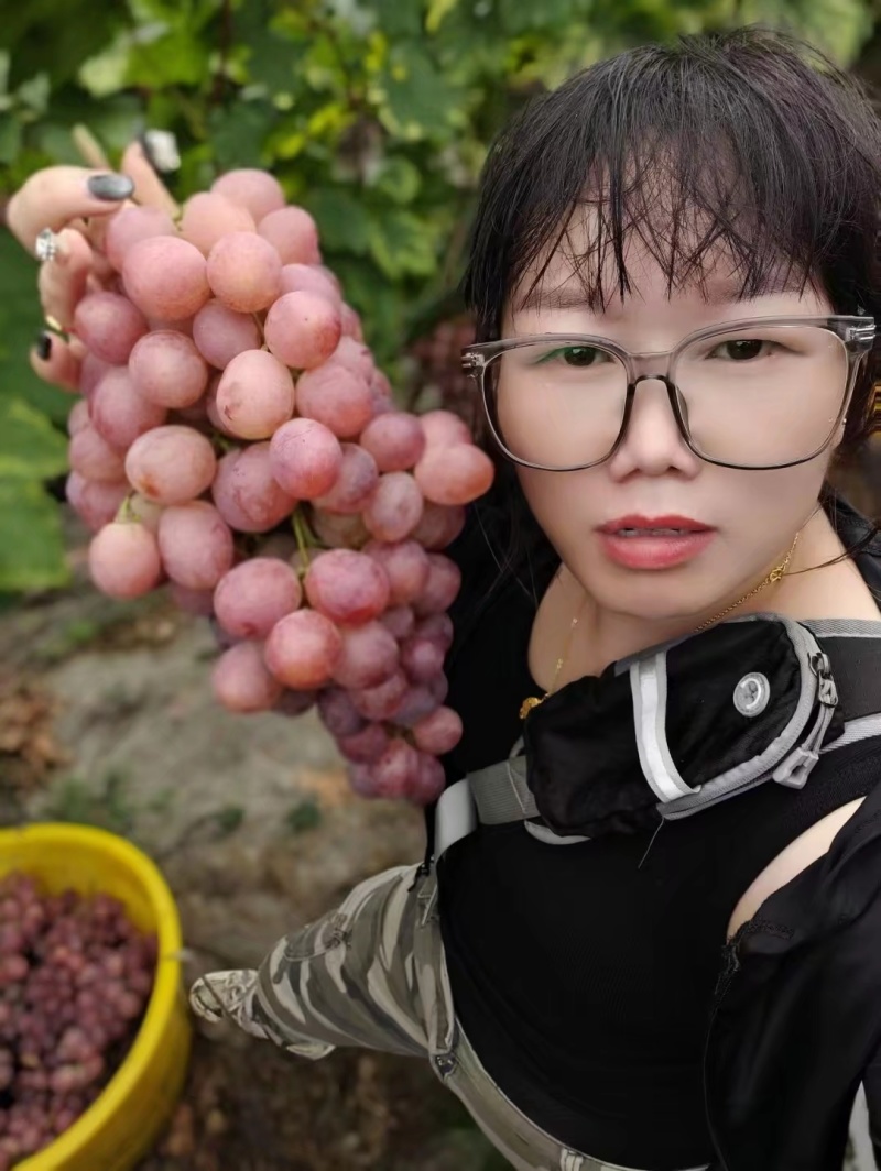 资源红提大量上市啦