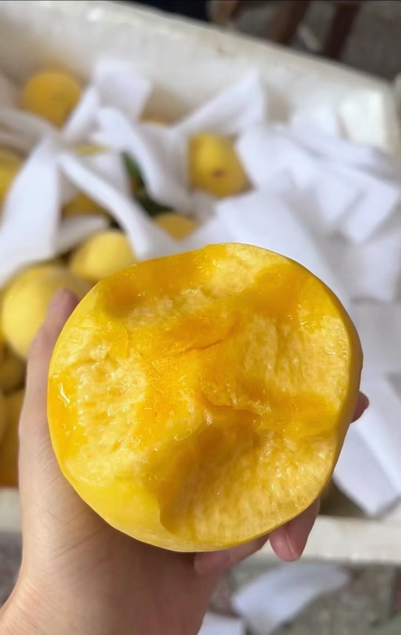 汤溪黄桃