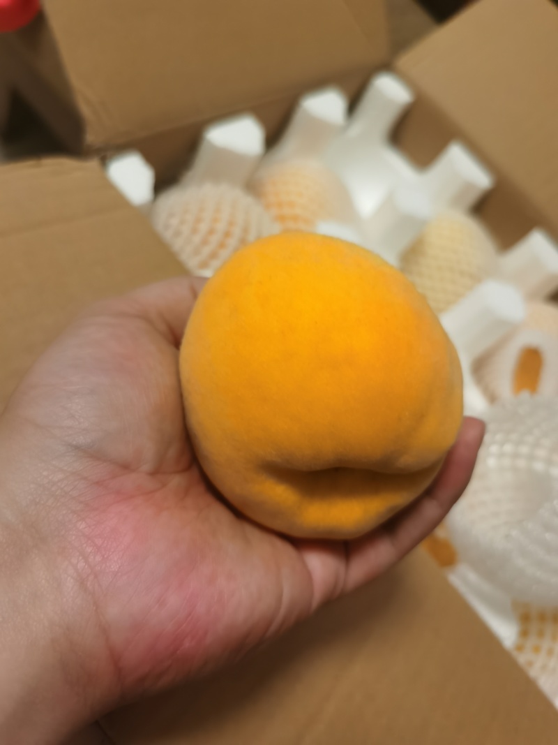 汤溪黄桃