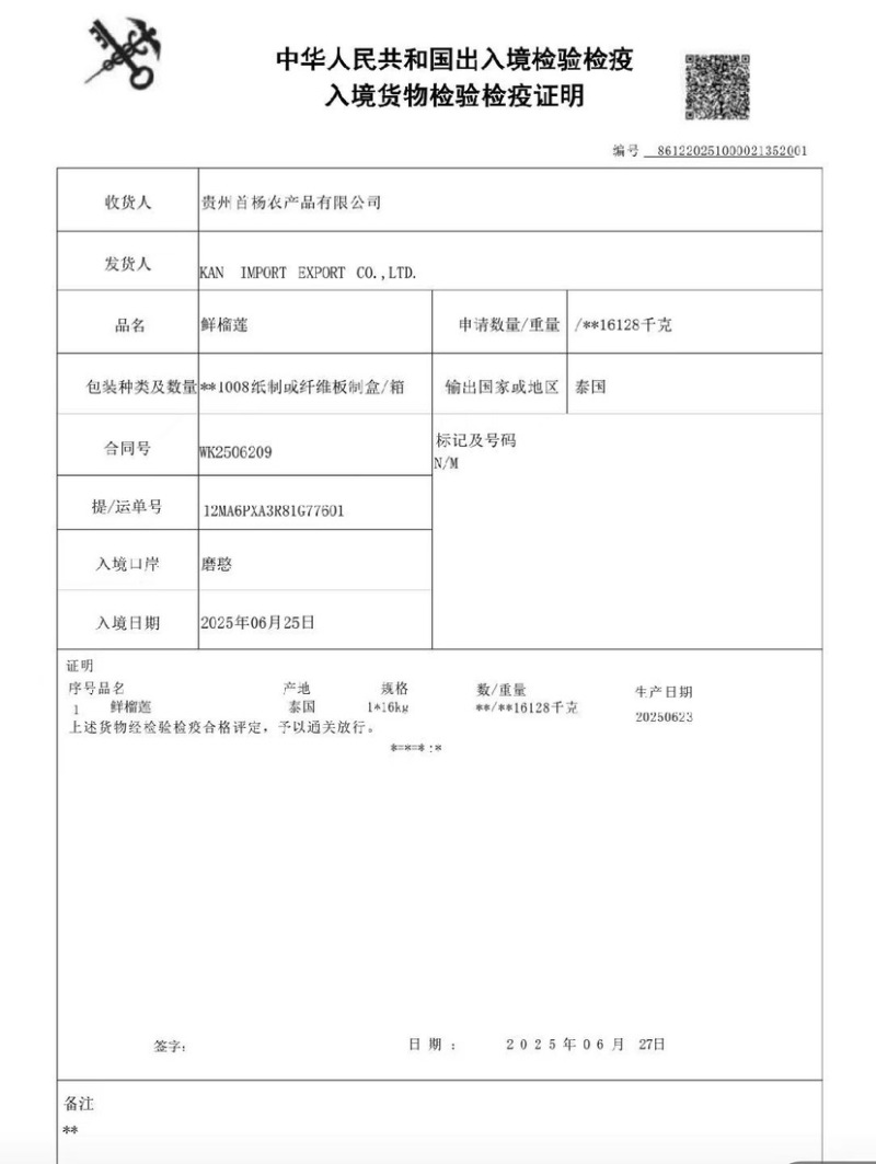 树熟金枕榴莲大小规格齐全