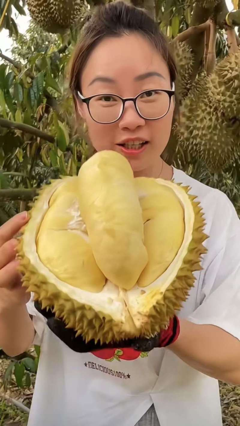 树熟金枕榴莲大小规格齐全