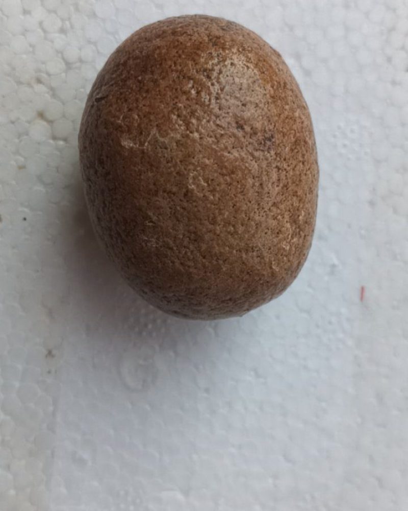 羊宝