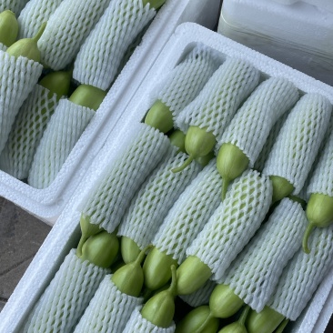 奶油黄瓜