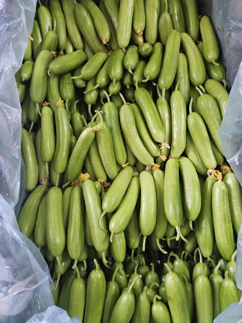 奶油黄瓜