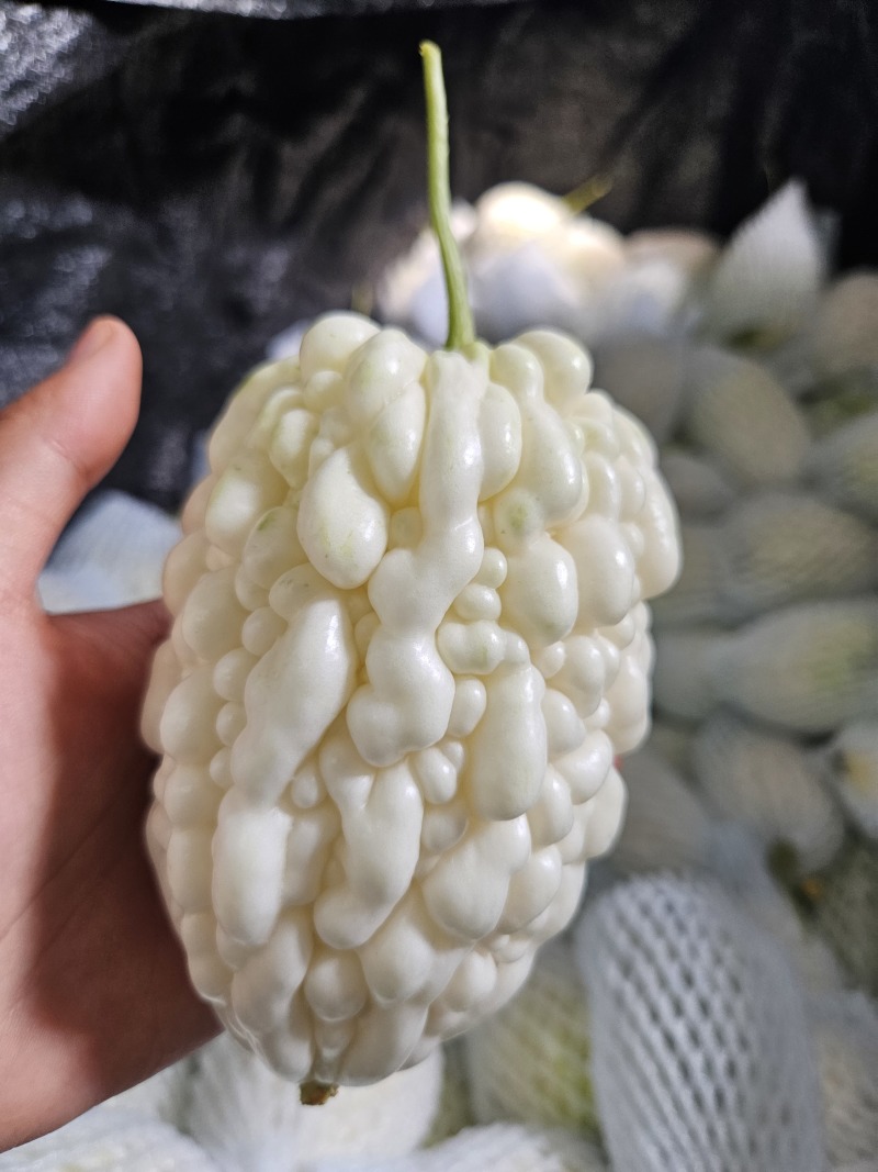 苹果苦瓜