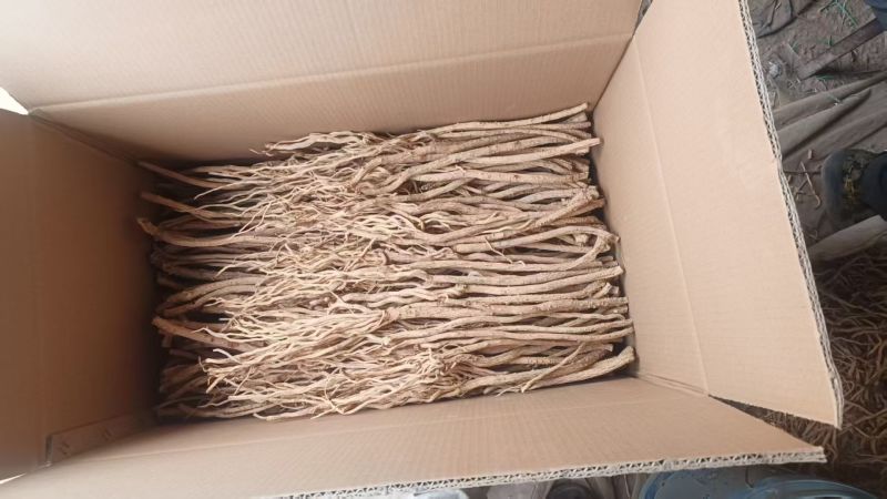 防风通货