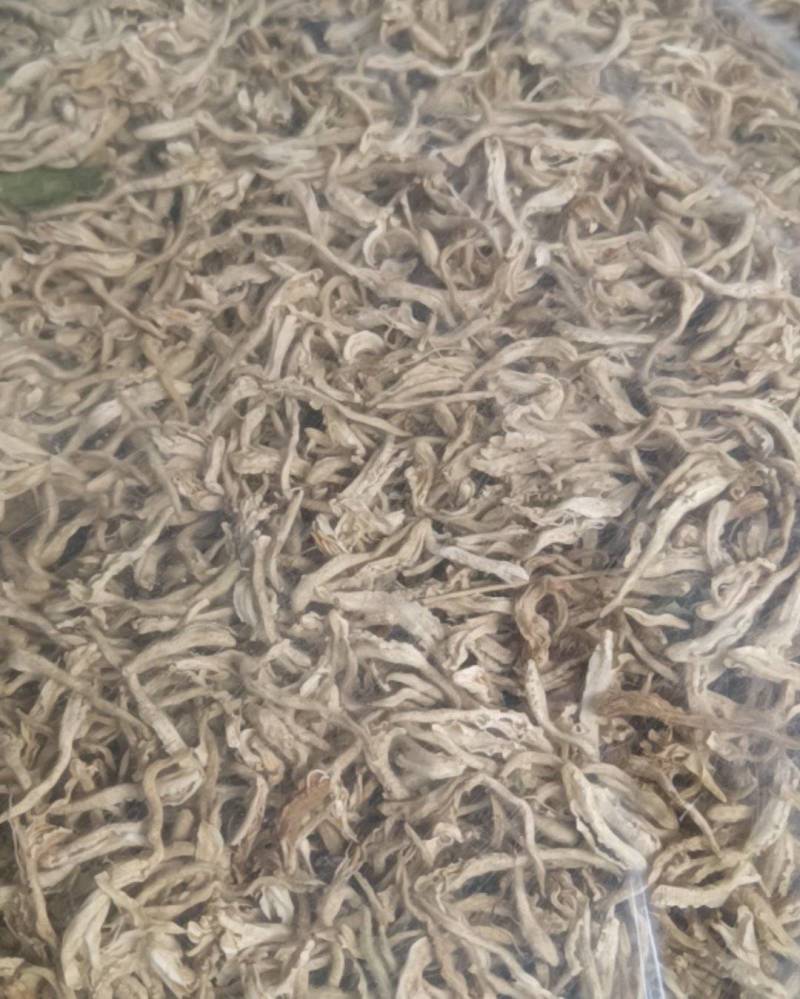 自己种植北花一号金银花量大质优价格优惠欢迎各大老板采购