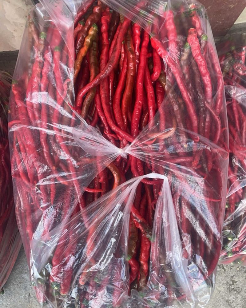 新鲜辣椒