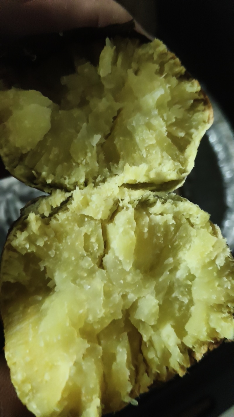 西瓜红薯，烟薯25，济薯26