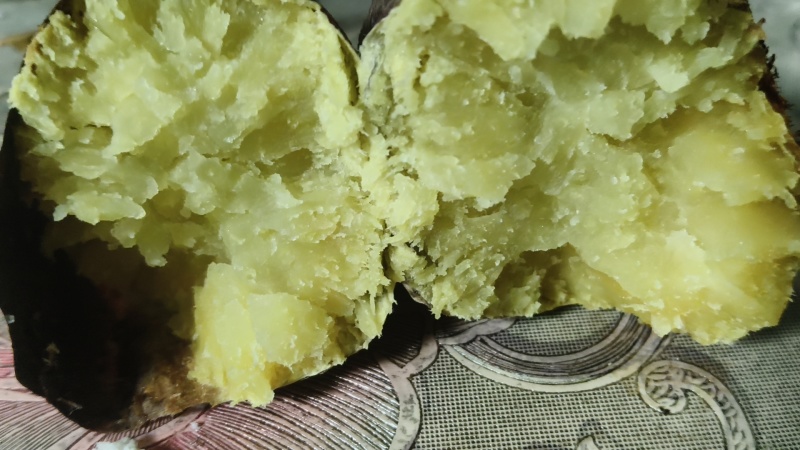 西瓜红薯，烟薯25，济薯26