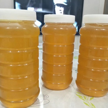 贵州山区纯正中蜂蜜