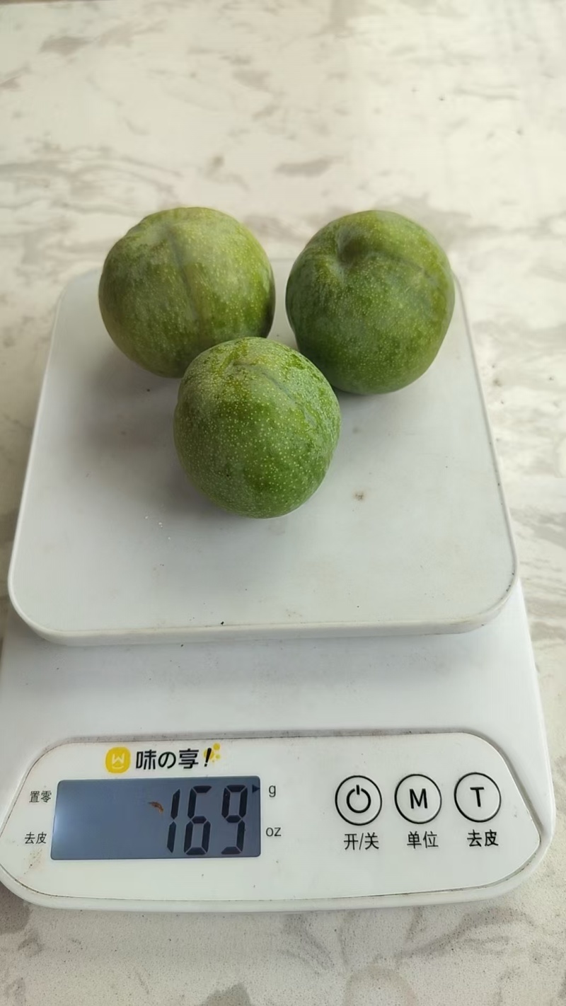 清脆李有需要的老板可以联系我