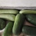 大冬瓜