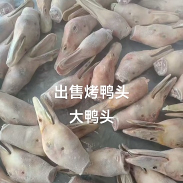 烤鸭头有货大鸭头