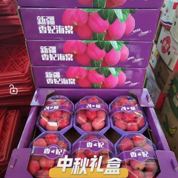 预售辽宁鸡心果，价格3.6—4元