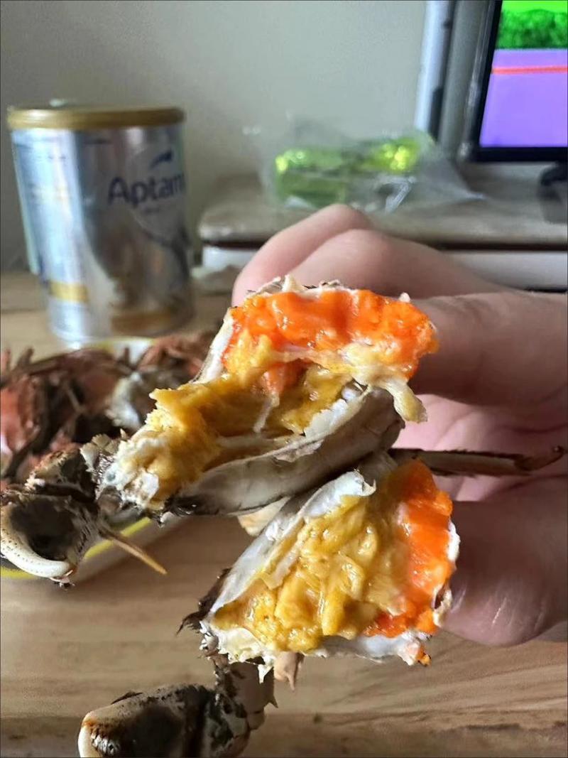 正宗盘锦河蟹，只只保活肥美可口！招代理或者一件代发，整车供应