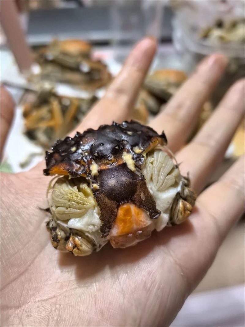 正宗盘锦河蟹，只只保活肥美可口！招代理或者一件代发，整车供应