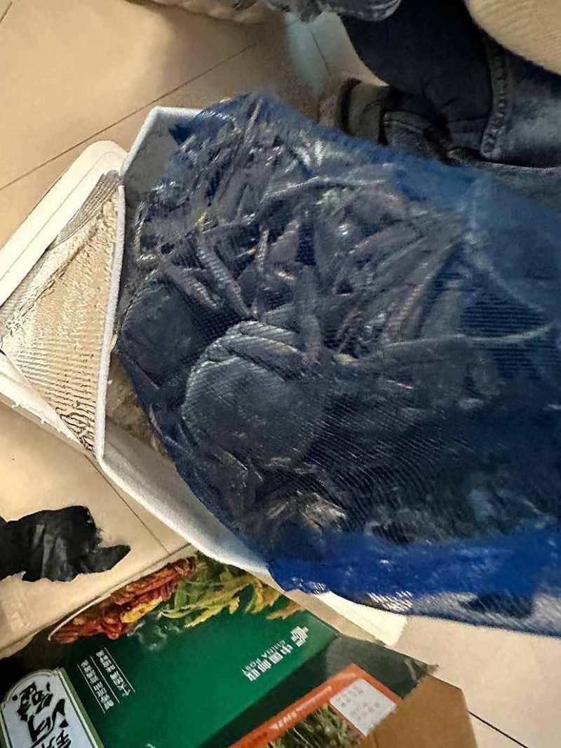 正宗盘锦河蟹，只只保活肥美可口！招代理或者一件代发，整车供应