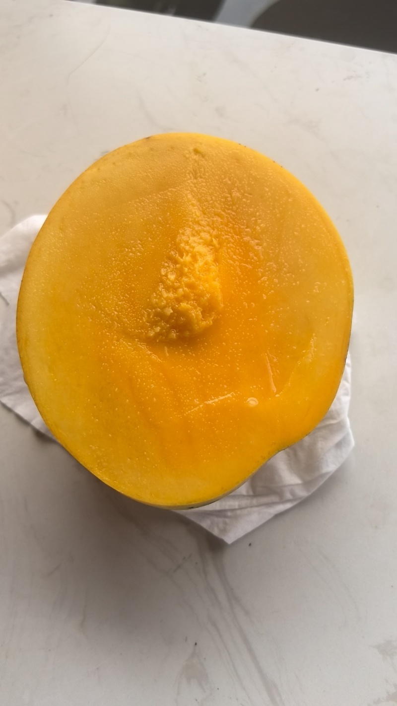 凯特芒果