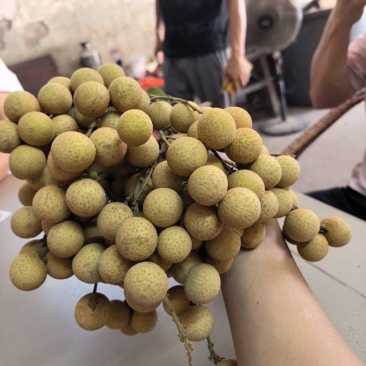 通货3-5万斤