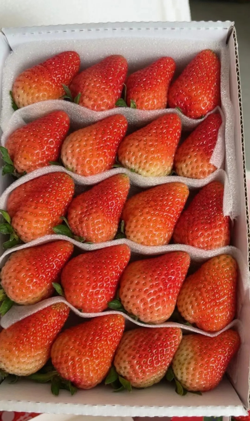云南四级草莓蒙特瑞草莓