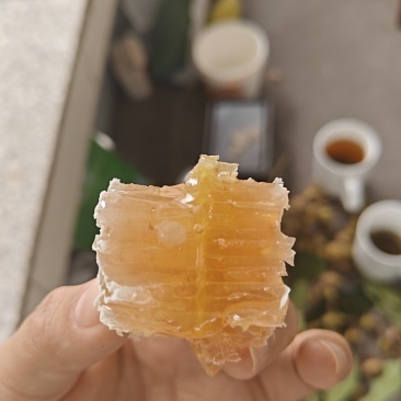 农村蜂蜜