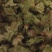 青皮大榛子，平欧，玉坠