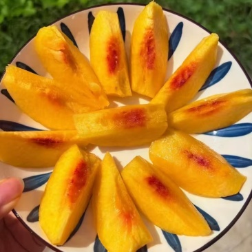 重庆黄桃批发