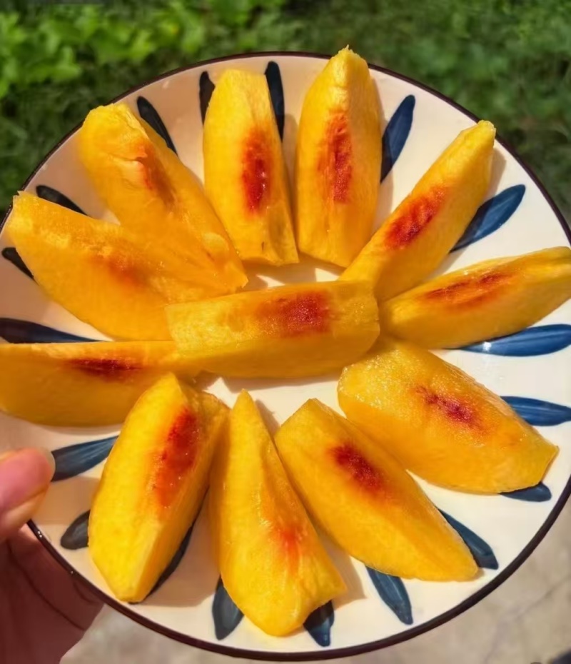 重庆黄桃批发