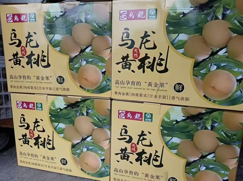 重庆黄桃批发