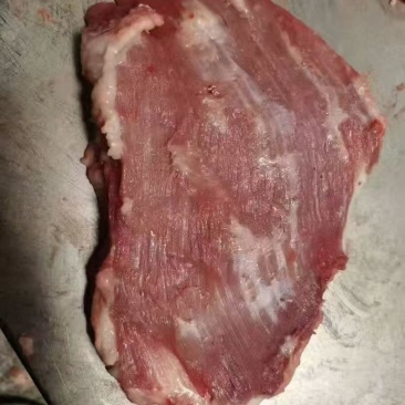 出售:母猪去皮精修槽头。货太好。要好货的看过来。