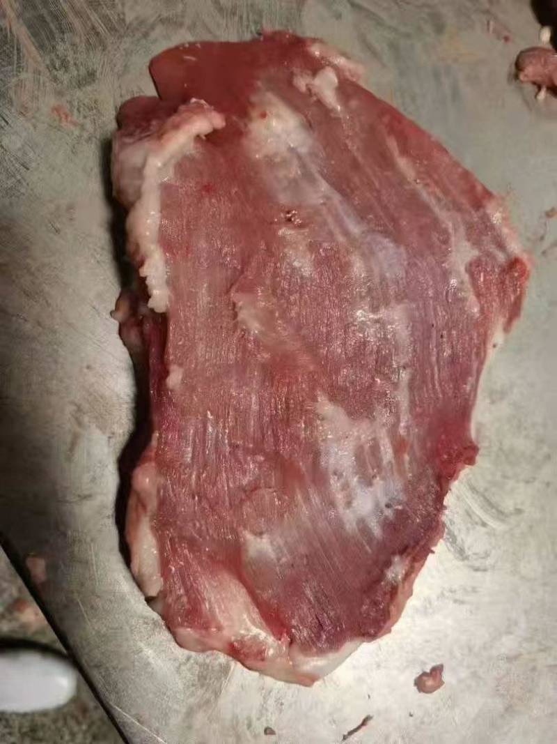 出售:母猪去皮精修槽头。货太好。要好货的看过来。