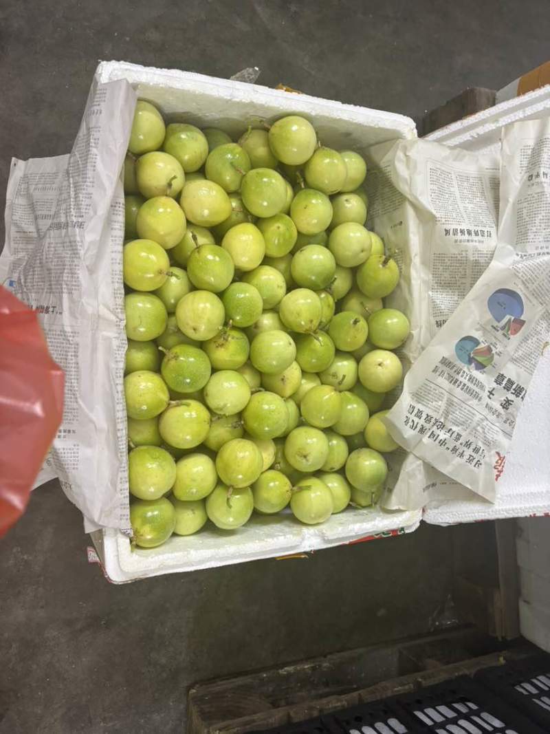 百香果