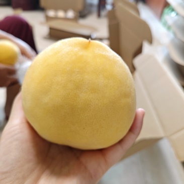 黄桃