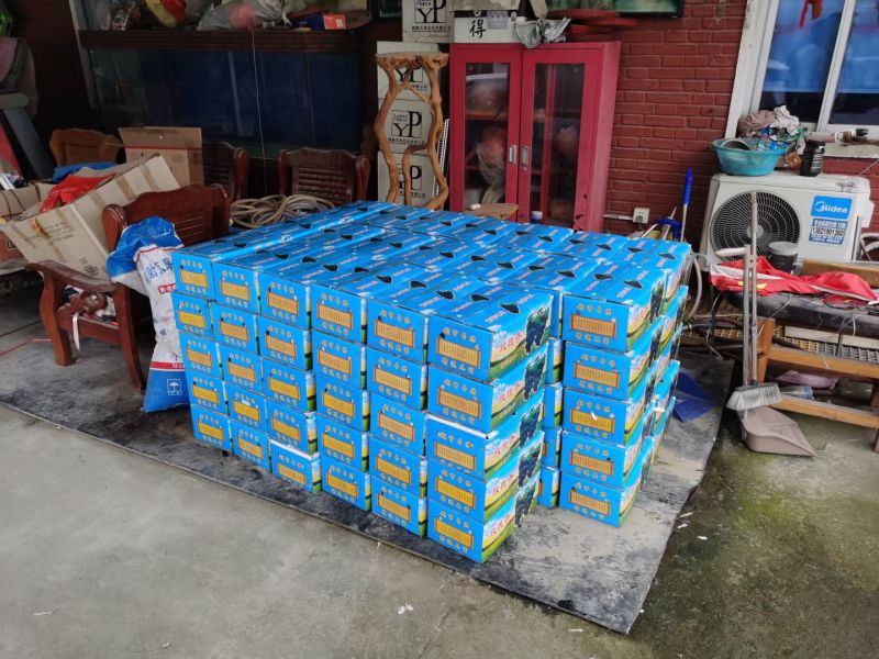 茶淀玫瑰香葡萄
