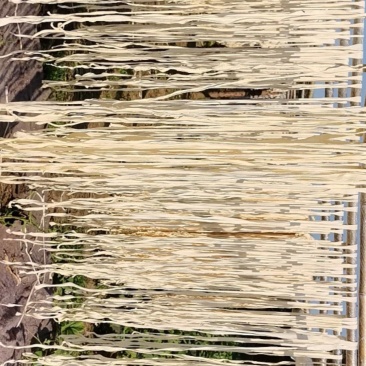 干葫芦条