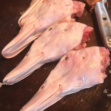 白条鸭头有货