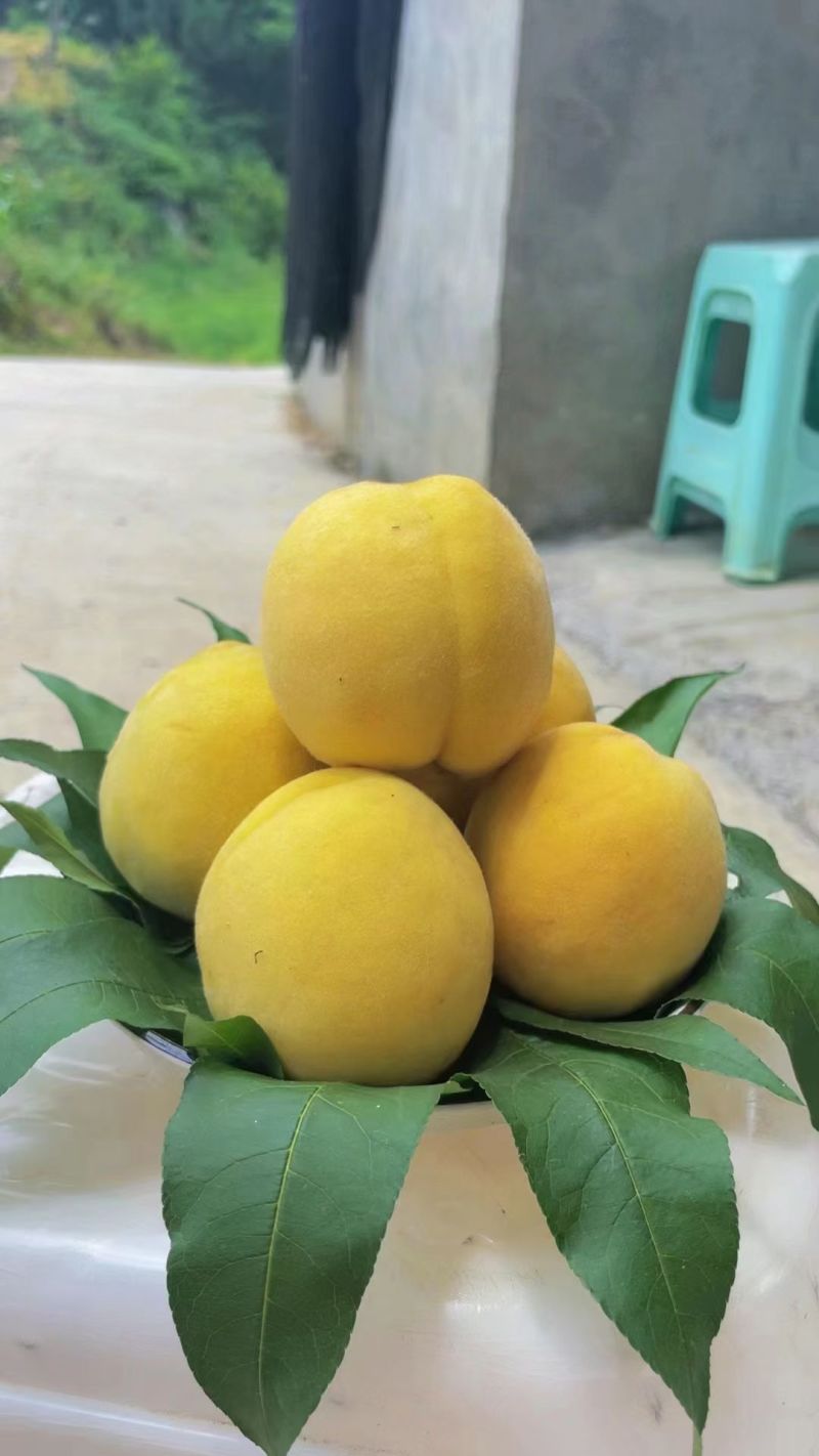 黄桃