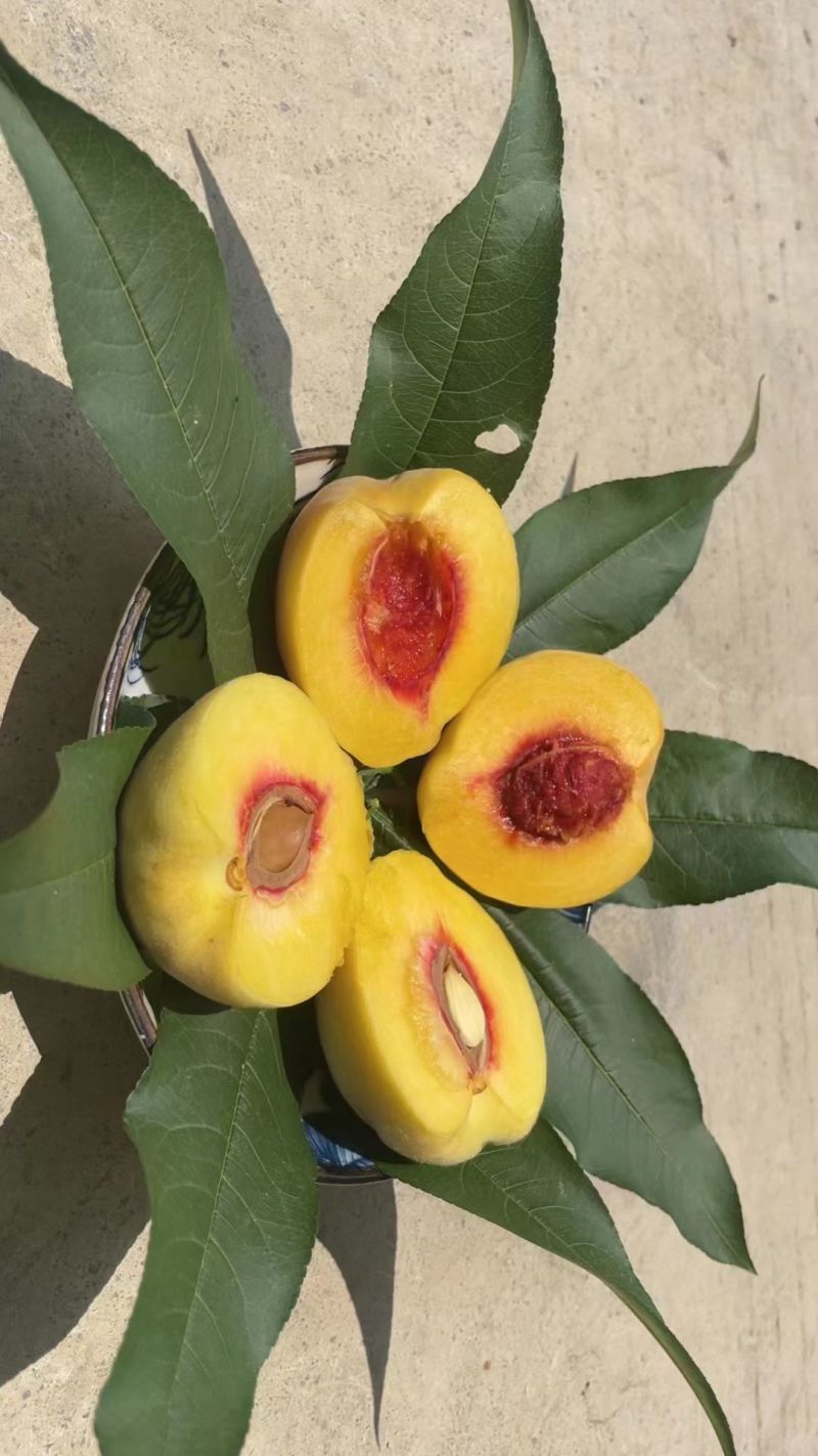 黄桃