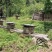 海拔1600米的神农架高山无人区原始野生土蜂蜜