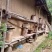 海拔1600米的神农架高山无人区原始野生土蜂蜜